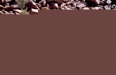 200622641218_canoe_color.jpg