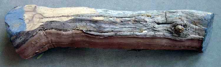 2006228144641_wood%20012.jpg