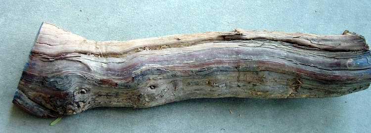 2006228144650_wood%20014.jpg