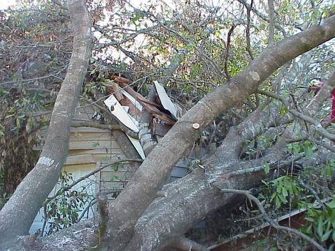 20062617298_MVC-002L.jpg