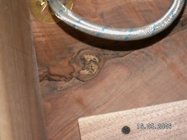 2006318215515_walnut.jpg