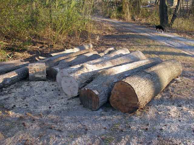 200632822625_woodgloat.jpg