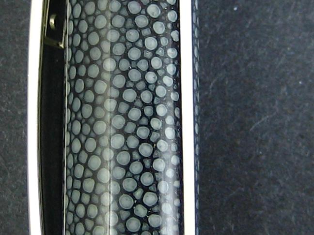2006330294_stingray.jpg
