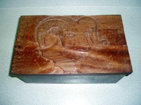 200641121146_P4090007.jpg