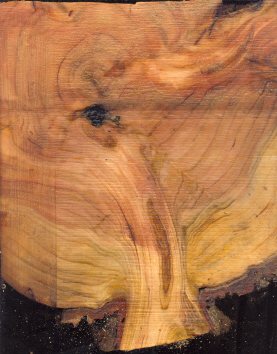 20064291536_cherryrootball.jpg