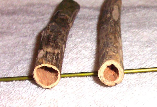 200648144144_Sumac005.jpg