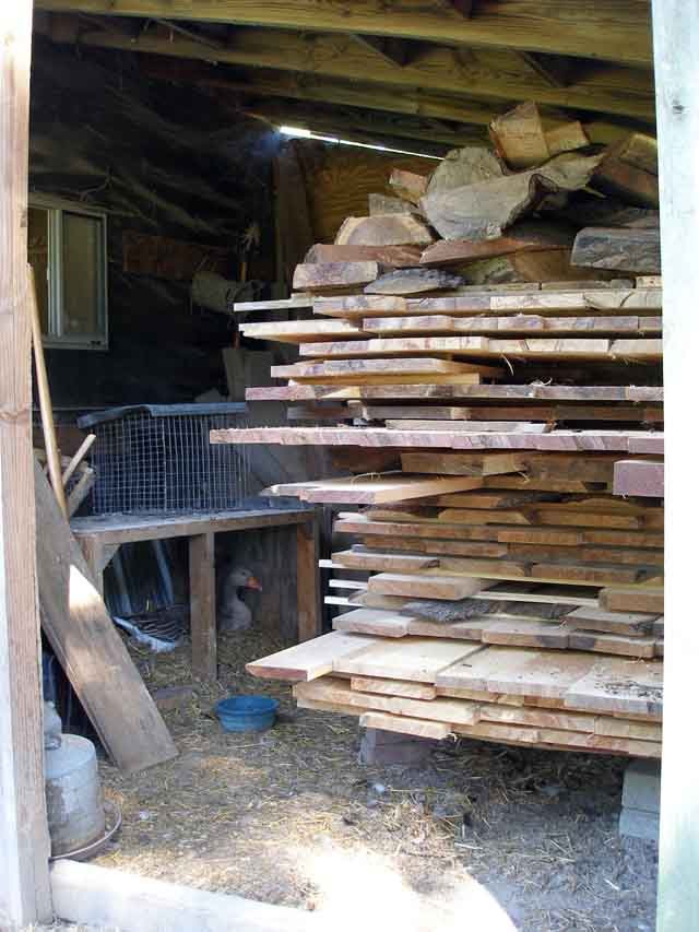 2006521171837_lumbergoose.jpg