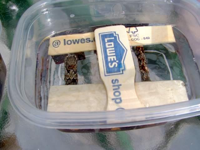 2006616143217_cast.jpg