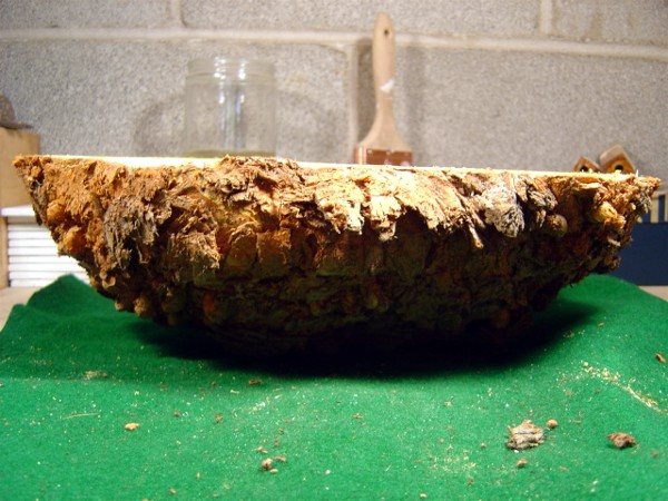 20066200146_burl3.jpg