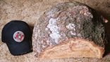 20066240596_burl%20with%20cap.jpg