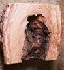 20066241050_burl%20inside.jpg