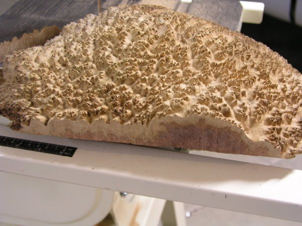 200663014509_redmalleeburl.jpg