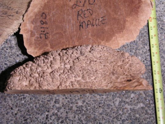 2006727419_malleeburl3.jpg