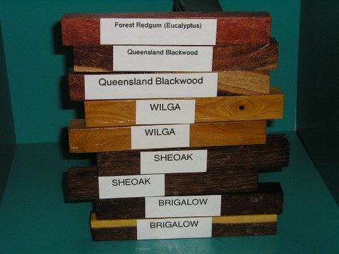 200681122421_timber1.jpg