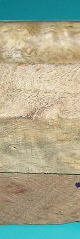 20068121415_P8010004.jpg