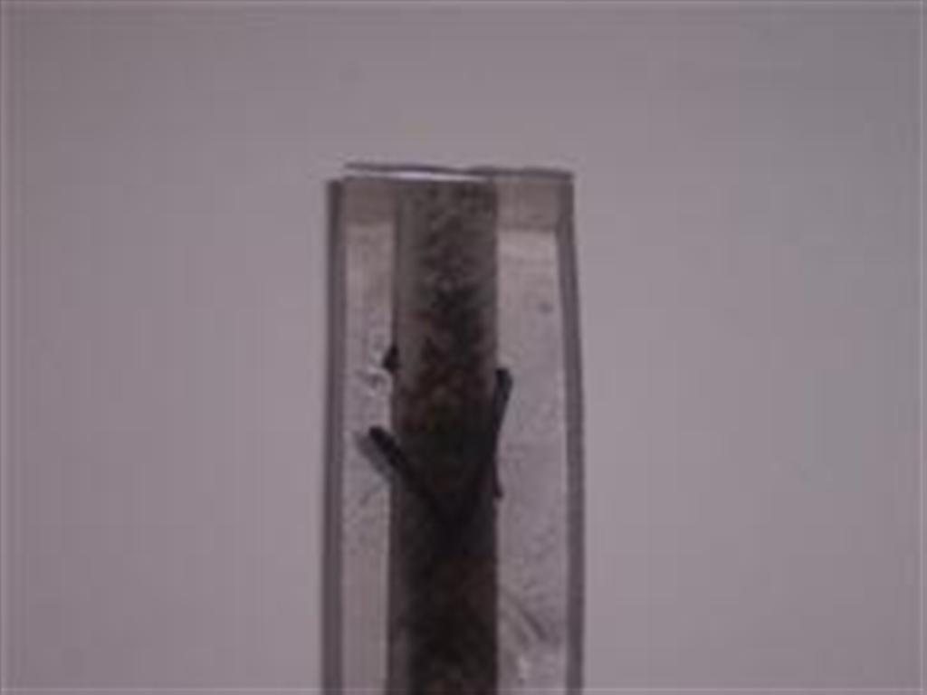 200681231146_100_0850%20(Large).jpg