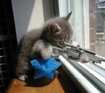 2006818192556_kitten2.jpg