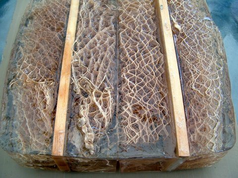 2006822164324_DSCF0022.jpg