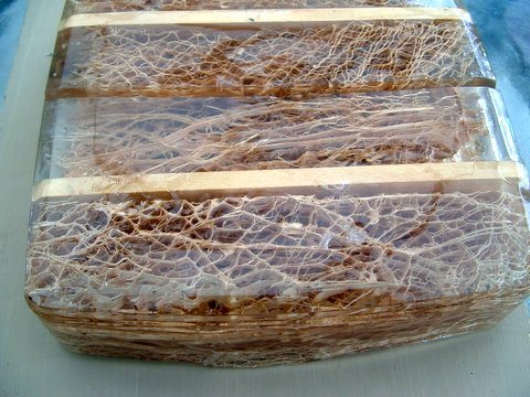 2006822164621_DSCF0020.jpg