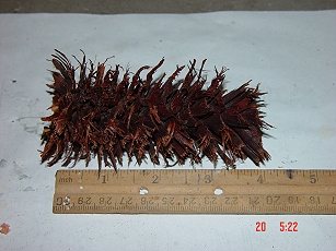 200682518556_3.jpg
