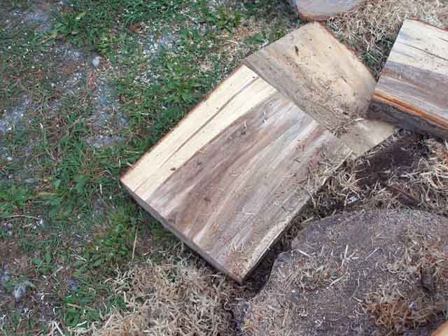2006831185838_P8290009.jpg