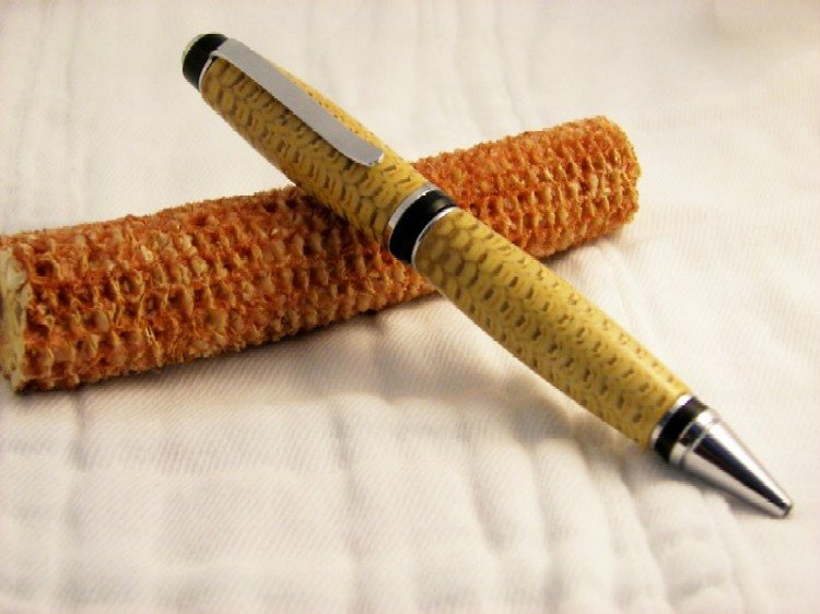 200686143323_corncob.jpg