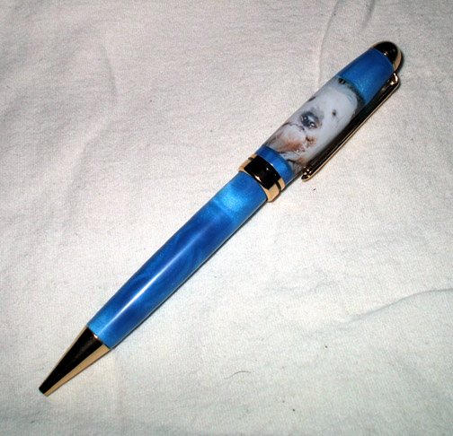 20068821323_Dog%20Pen.jpg