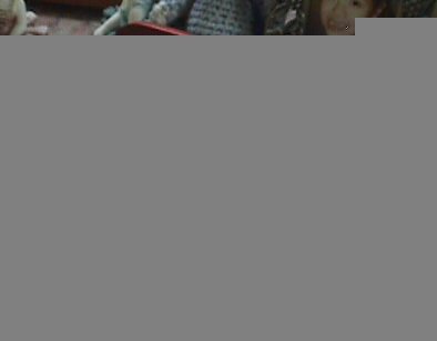 20069141238_Rosewood%20Single.jpg