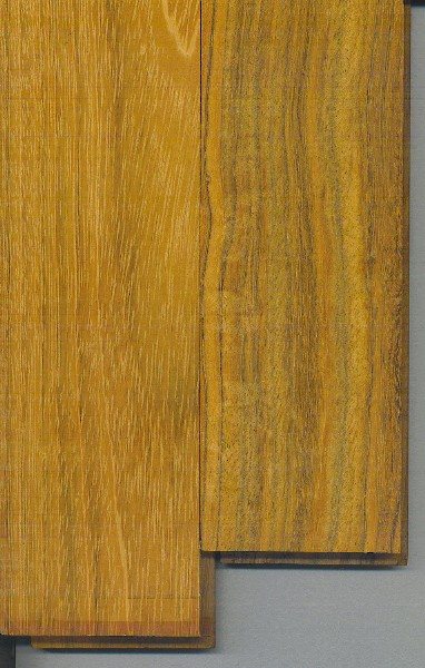 20069521735_woodfromvic.jpg