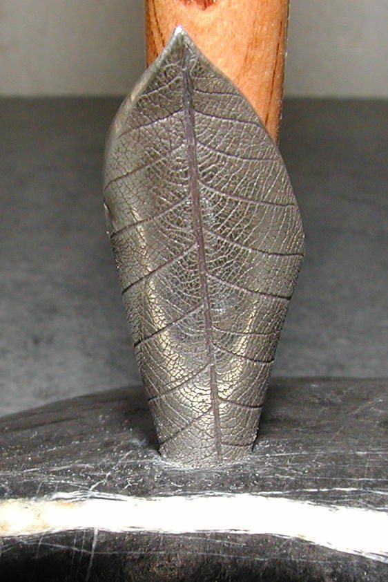20071014132535_Sliver-leaf2.jpg