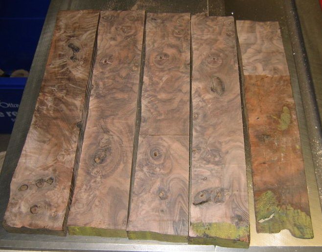 20071022213731_walnut1.jpg