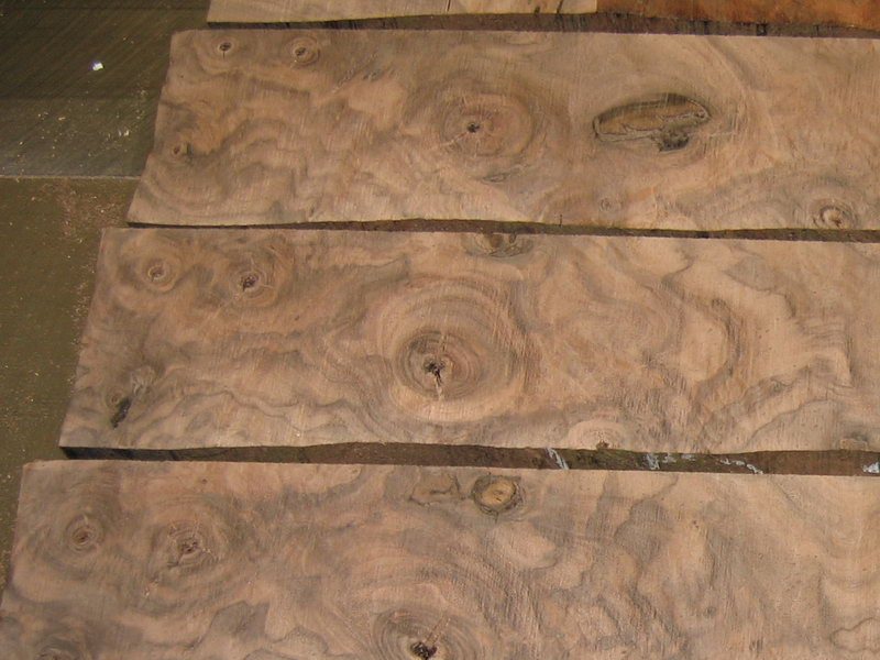 20071022213846_walnutchecks.jpg