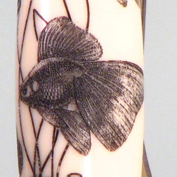 20071023173312_Goldfish%20pen%20Veiltail%20PTO.jpg