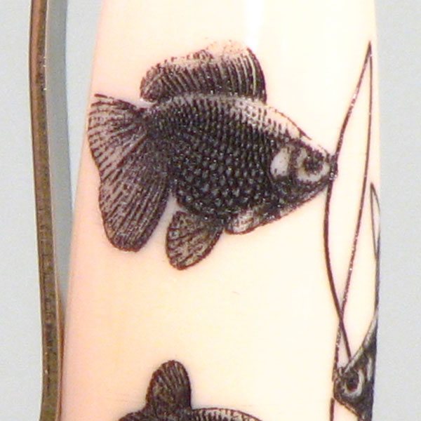 20071023173539_Goldfish%20pen%20pearlscale%20pto.jpg