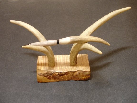 20071026105931_antlerthumb2.jpg