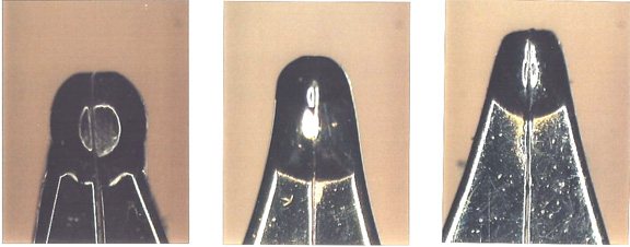 200710905616_Nibs.jpg