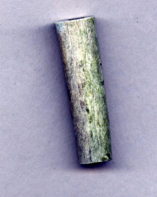 200711124647_antpen2.jpg