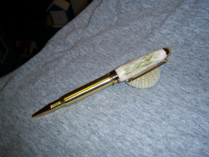 200711124838_ant2.jpg