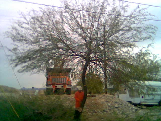 200711131049_mesquite%202.jpg