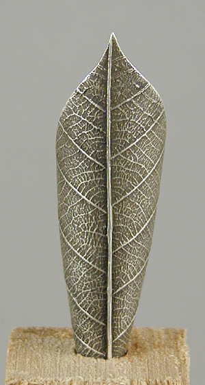 2007111416815_leaf5.jpg