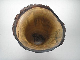 2007112218242_MapleVase_2.jpg