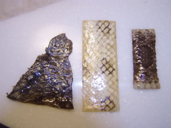 20071122225334_skin%20test.jpg