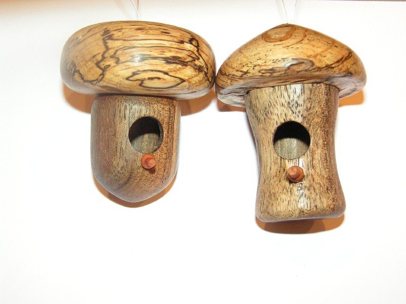 20071130171123_shrooms.jpg