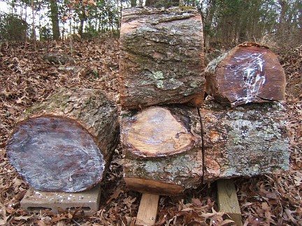 200711322278_NewWood.jpg