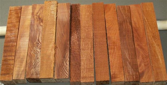 20071195954_Kauri22.jpg