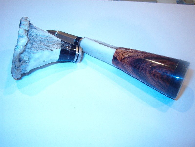 20071213161136_antler5.jpg