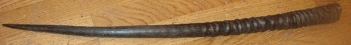 20071220181419_horn1.jpg