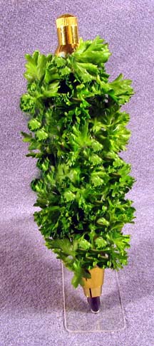2007122174450_chia.jpg