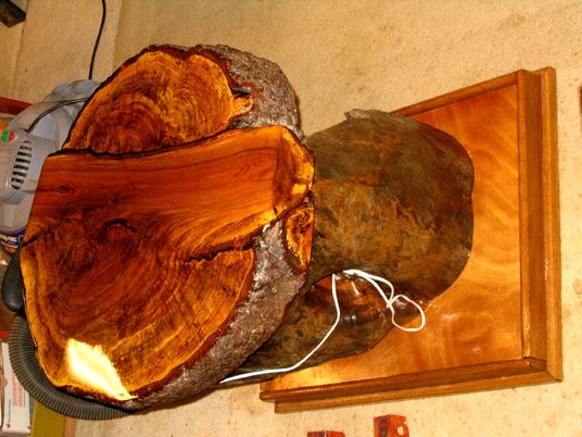 200712301346_oburl1.jpg