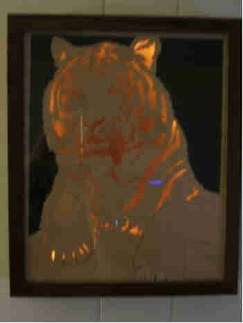 200712323813_tiggrrr2.jpg